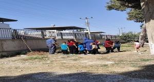 Yeşil Vatan Fidan Dikme Etkinliği